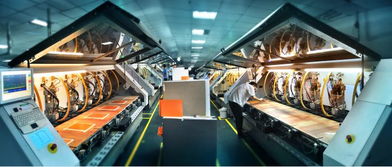 江西對接粵港澳大灣區投資環境推介會在龍南成功舉辦 科技推廣和應用服務成焦點